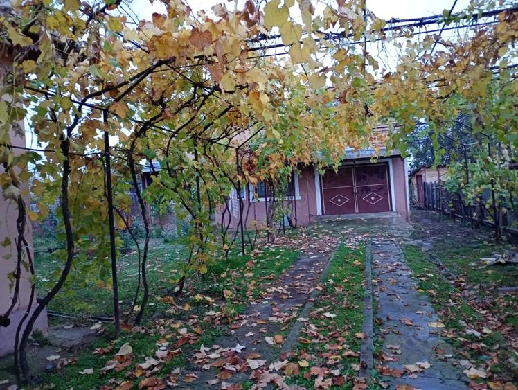 Vand casa ?i teren de 3000 mp in sat Dobra com. Balaci?a - 5