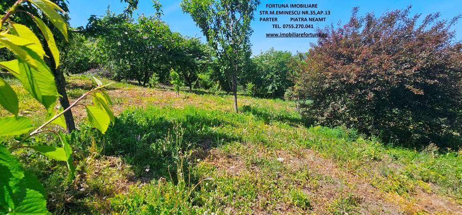 Teren intre case, zona Fermelor - 3