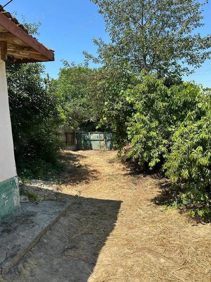 Casa batraneasca de vanzare, Oltina, Constanta, teren 1100mp, aproape de Dunare - 1