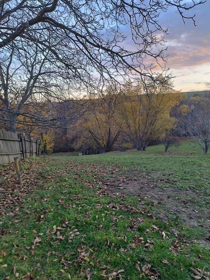 Teren intravilan | Mănăstioara – Siret | 2.200 mp - 8