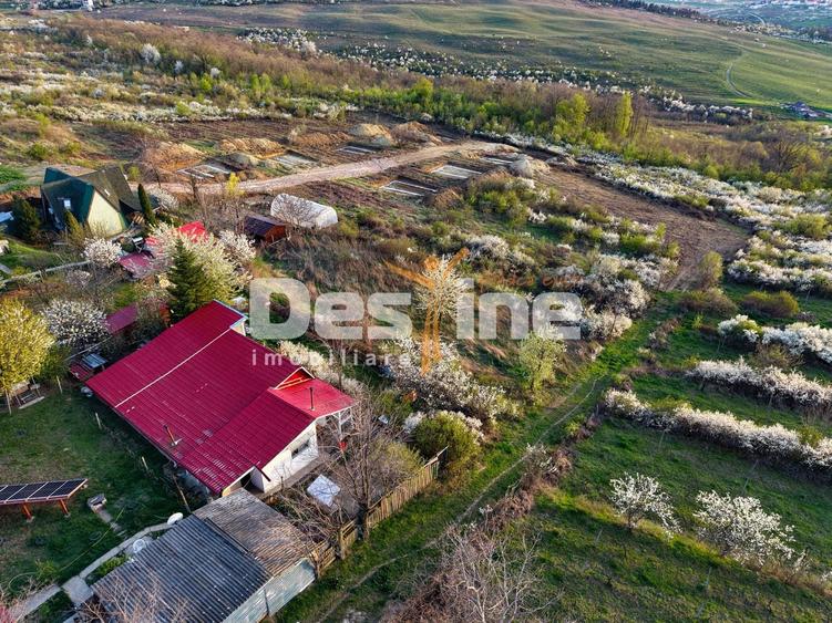 COMISION 0% CUMPARATOR - Teren intravilan 900 mp - Vișan, Barnova - 4