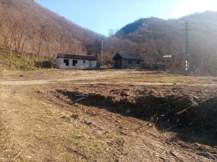 Teren de 7432 mp, în Săsciori