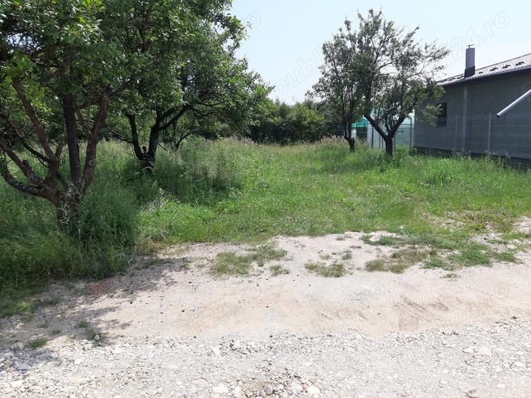 Teren de 500 mp, în Vedea
