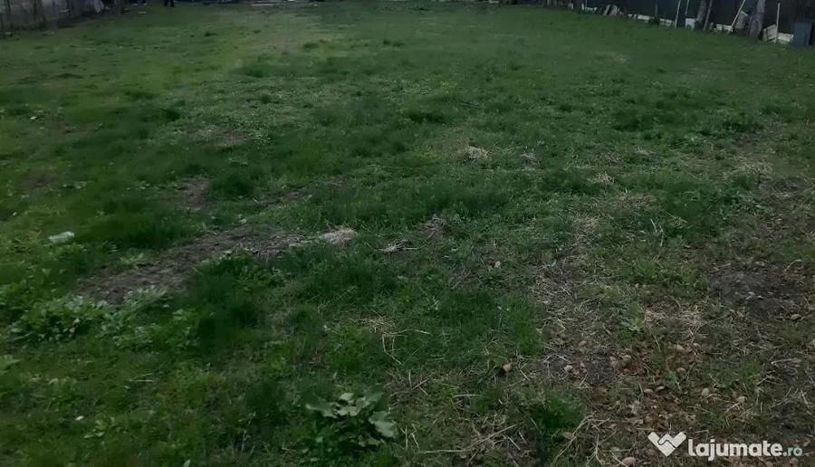 Teren de 1000 mp, în Lunca Cetățuii