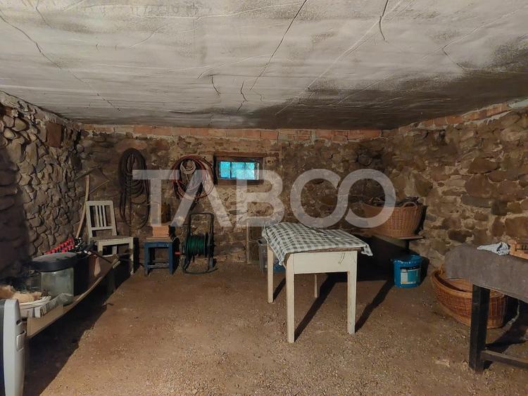 Casa de vanzare cu 2 apartamente separate si teren 500 mp Cisnadioara - 29