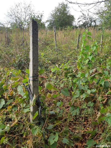 Casa de vanzare plus teren in comuna Podu Turcului, judetul Bacau - 5