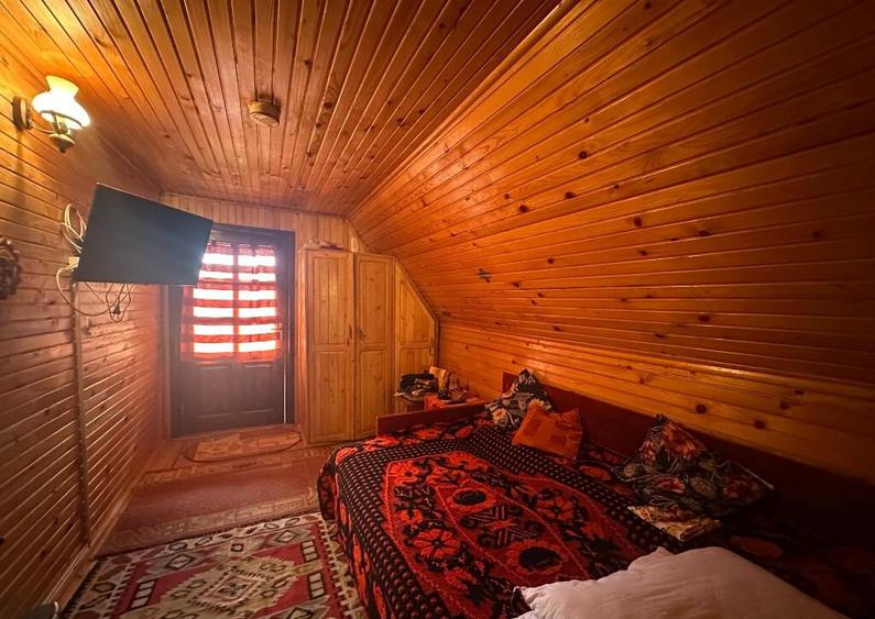 VIGAFON - Casa 4 camere Homoraciu - 3