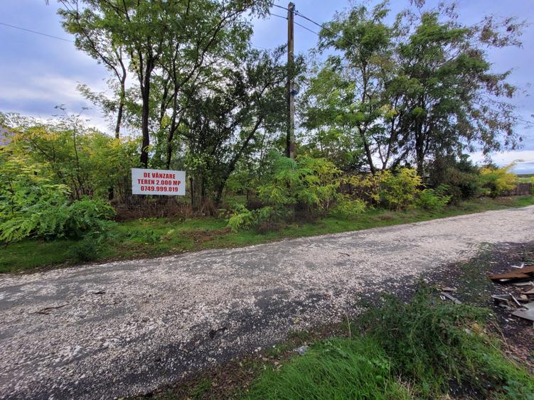 Teren intravilan intre case - 2079 mp - Movilita - 11