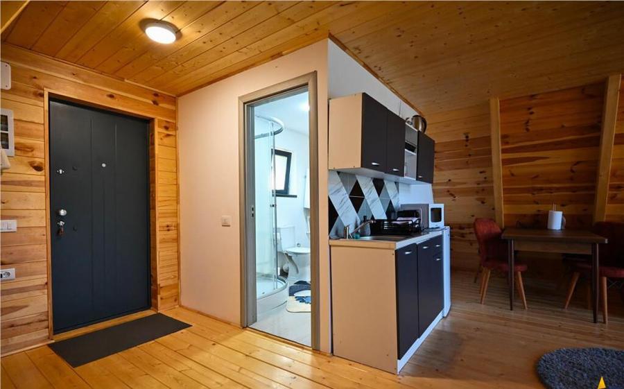 2 Case A frame,mobilate,accesorizate, 2.500 mp teren,peisaj, - 11