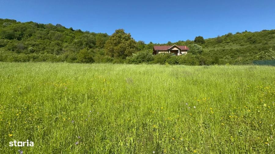 Teren de vanzare, Tauti, 2300 Mp - 3