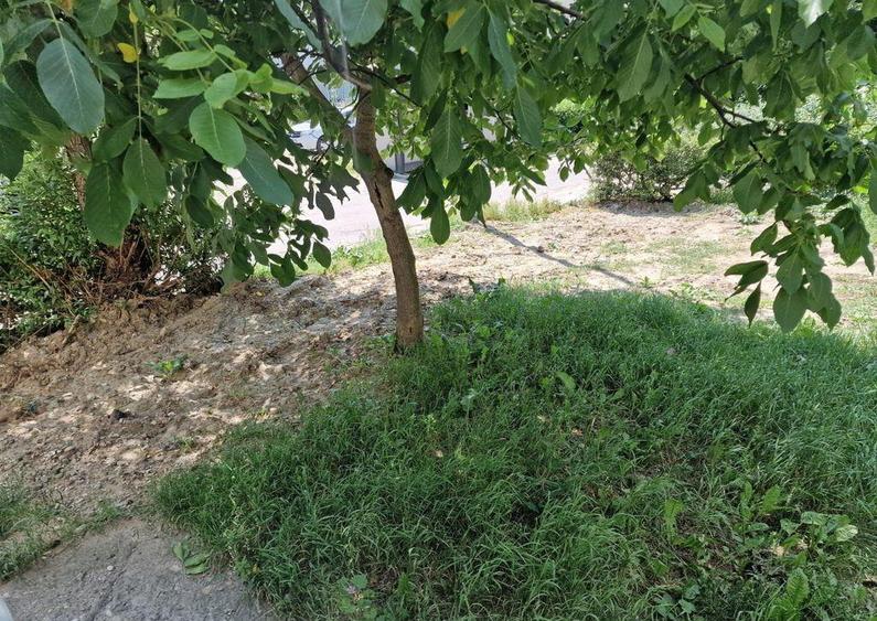 ?Apartament cu 2 camere de vanzare in zona Mioritei - 5