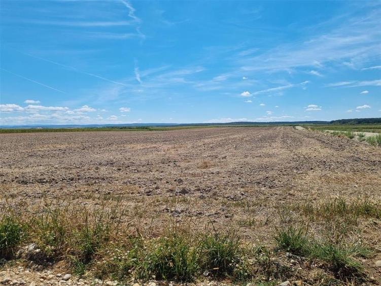 RECO Teren intravilan de vanzare Osorhei - 1