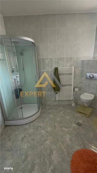 Casa spectaculoasa , Str Branduselor Baia Mare - 5