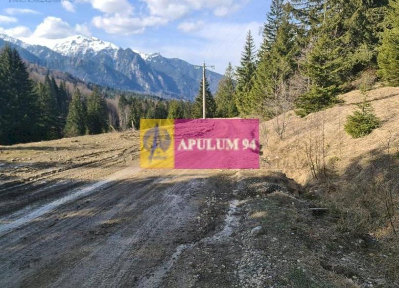 Teren de v&acirc;nzare &icirc;n Predeal - Zona Forban - 4