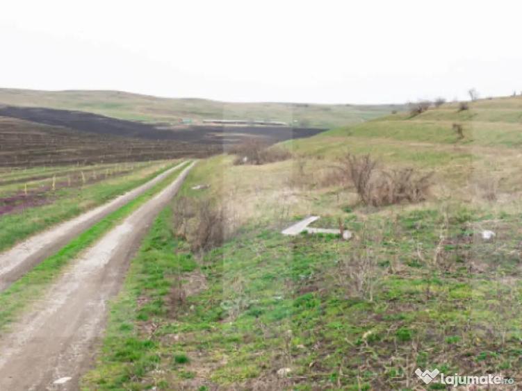 Teren 5800 mp in Campene?ti cadru natural deosebit, i - 6