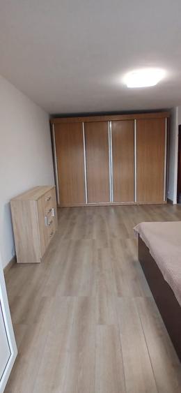 INCHIRIERE GARSONIERA SEBASTIAN - RAZOARE - 3