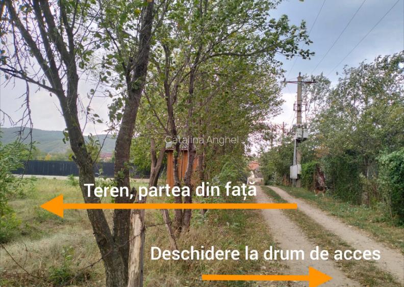 Oportunitate de investitie, teren intravilan, 6018 mp, Ungur