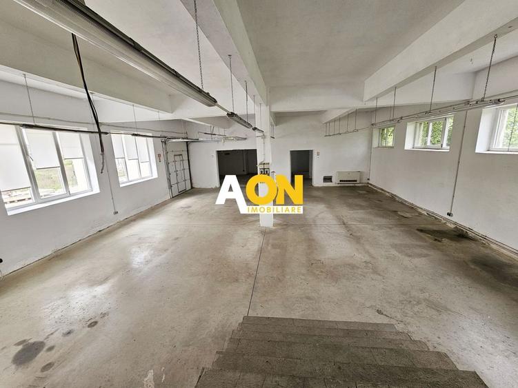 Spatiu industrial pentru productie sau depozitare, 1600 mp, Sebes - 9
