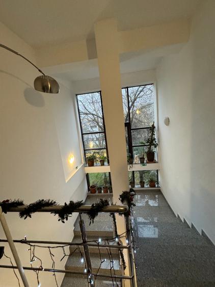 Duplex 350 mp/terasa/sauna/5 dormitoare la inchiriat - 13