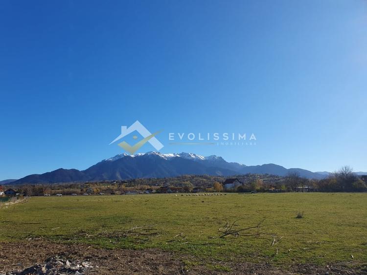 Teren intravilan 10.600 mp Strada Branului - 2