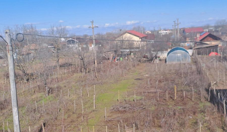 Teren intravilan, Cosoveni, 1200 mp, front 24m - 2