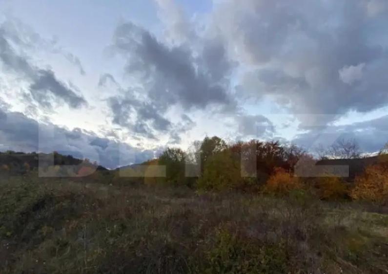 Teren de vanzare Rame?, jud. Alba - 1