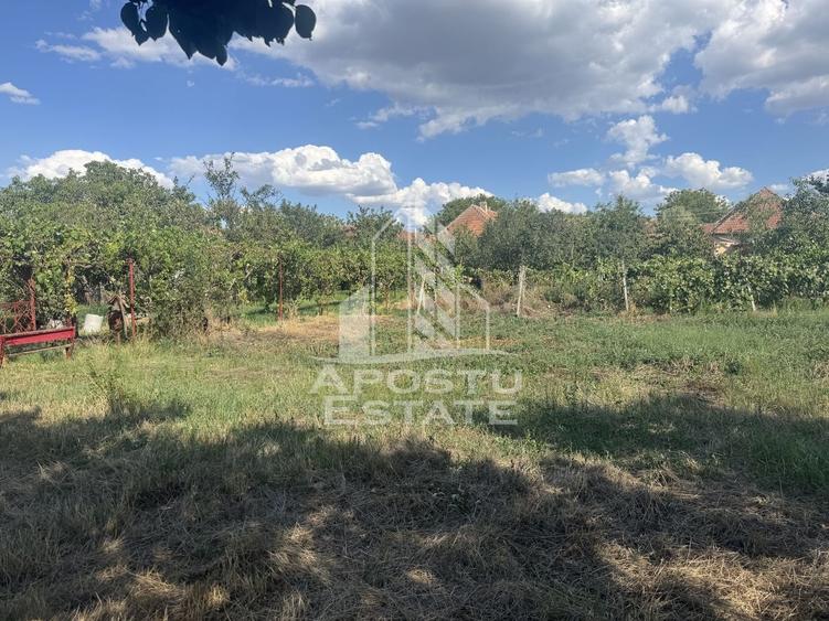 Casă unifamilială cu teren de 1504 mp - 16