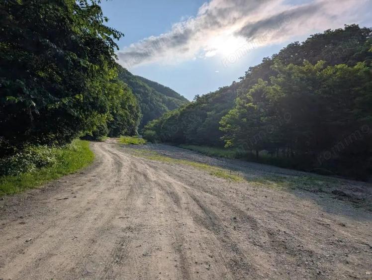 Sarata Bai- Oportunitate investi?ie- 4038 mp- priveli?te spectacol - 12