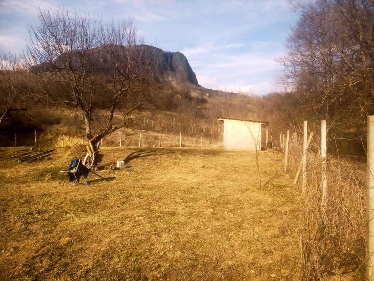 Teren 590 mp, Valisoara, Livezile, jud. Alba - 2