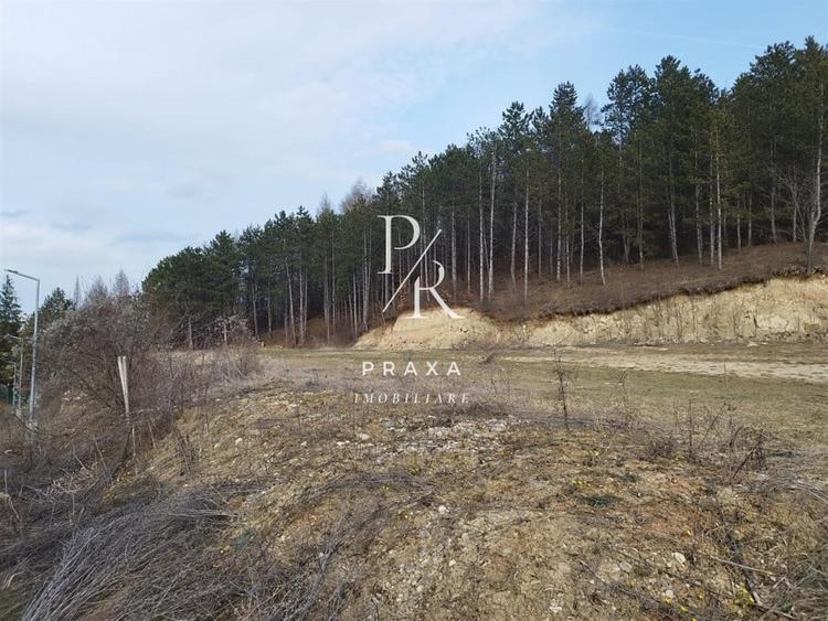 Teren 1100 mp toate utilitatile, incadrat in zona verde- Colina! - 4