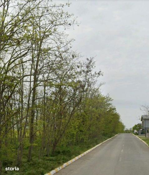 Teren 500 mp - Valu lui Traian | Zona Rezidentiala Noua | Investitie - 2