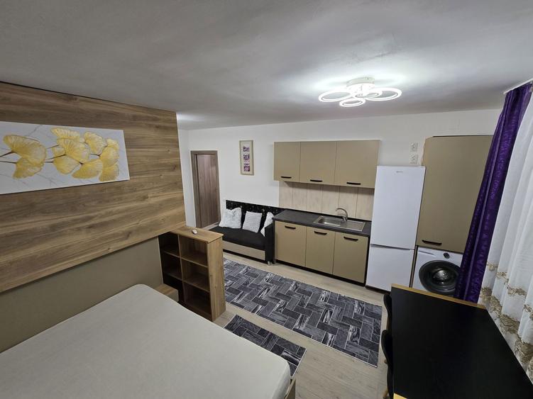 Garsoniera / studio de inchiriat in casa/vila zona case Banat - 3