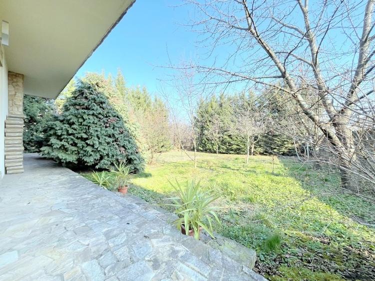 Casa individuala - zona Mehala - 26