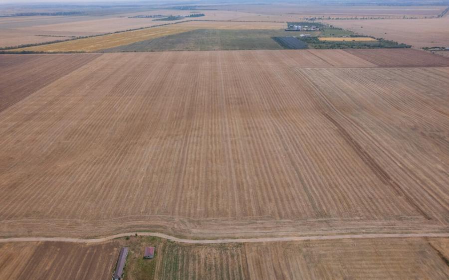 FRUMUSANI - PASAREA, TEREN 14420 MP, FRONT 40 M! - 7