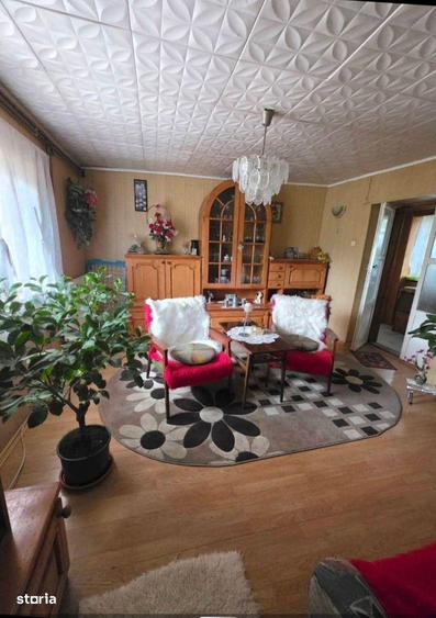 Teren 6762 mp +casa Les - 1