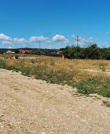 Teren 500 mp intravilan Smeura Stoenari - 4 loturi - 1