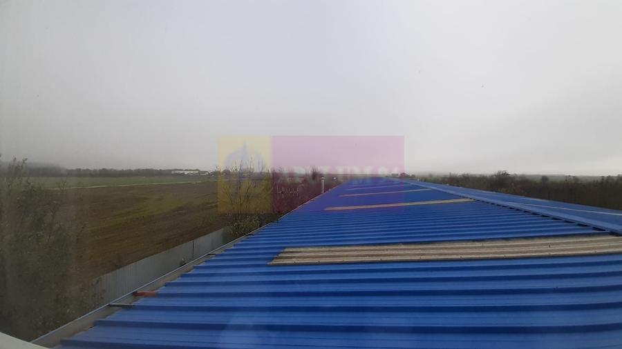 Showroom in Sudul Bucurestiului - 7