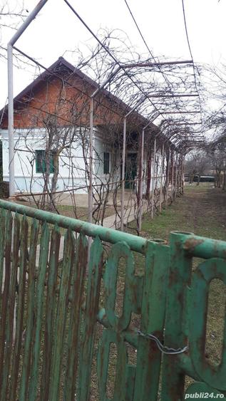 Gospodarie completa compusa din 4.000mp teren, casa,anexe,livada,vita de vie in com.Corbu, jud.Olt - 3