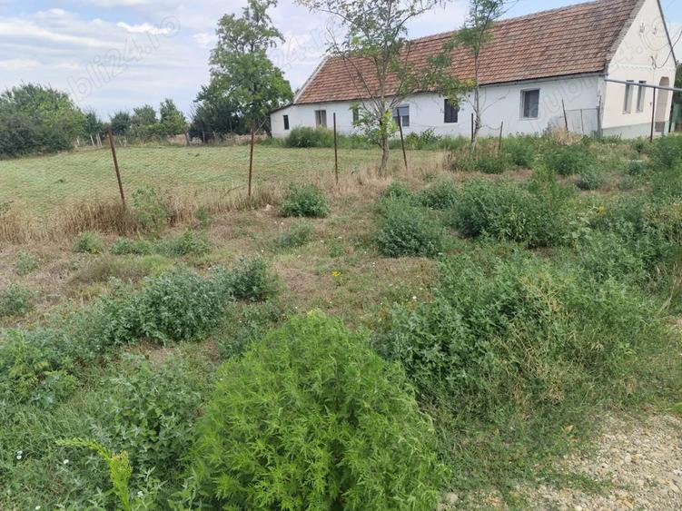 Proprietar vand casa la Cenei jud.Timis - 2