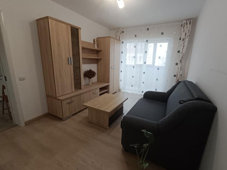 Apartament 2 camere, mobilat si utilat, strada Porii Nr. 8! - 5