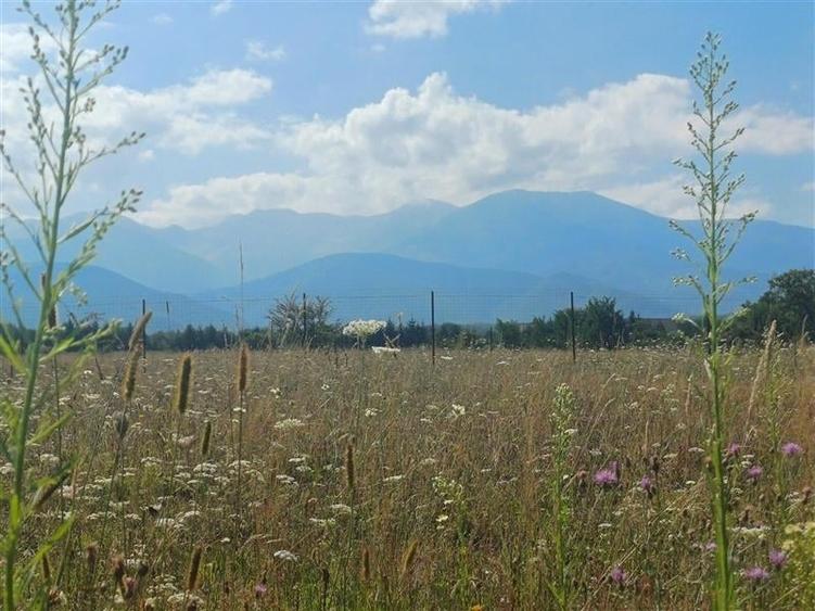 Teren intravilan de vanzare cu fantana si curent electric pe teren - 1