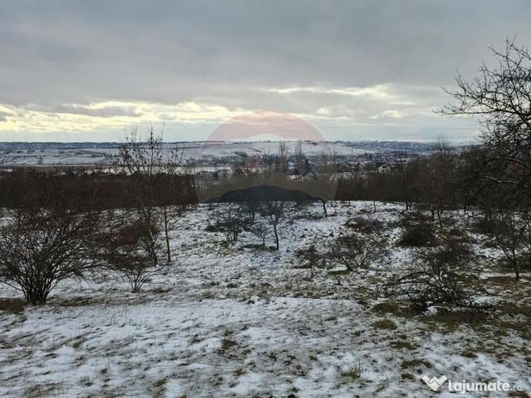 Teren 10,000mp Rada?eni / ?oseaua DN2-E85, jude?ul S... - 9