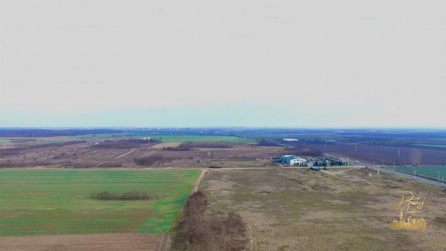 Domeniu - Centru de colectare, 7 ha de vanzare in Valea lui Mihai - 16