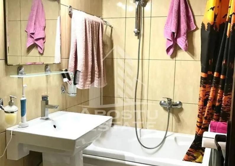 Apartament o camera, etaj intermediar si lift, Take Ionescu - 6