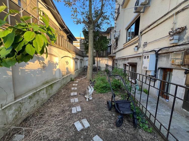 Vand apartament demisol, zona eminescu, proprietar - 8