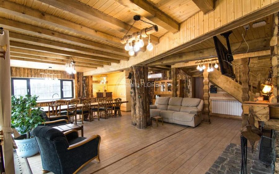 Casa de vacanta sau rezidentiala cu lac si ciubar Nucsoara-A