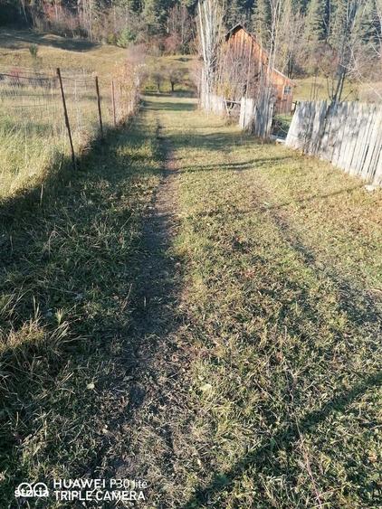 Teren 3.200 mp Sadova Piraul Morii - 12