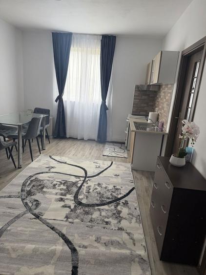 Inchiriez apartament cu2 camere open-space et1 cart bariera valcii - 5