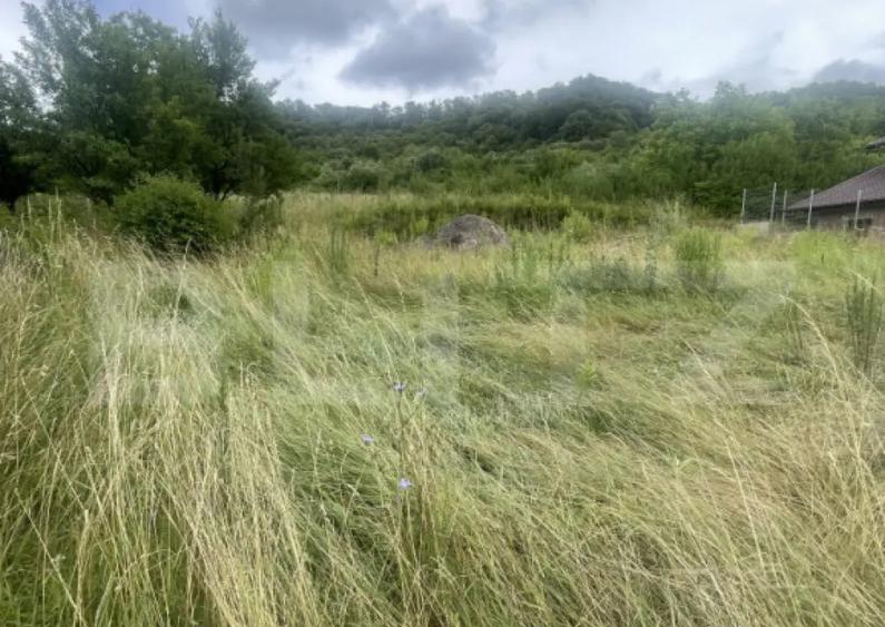 Teren intravilan de 15 ari Valea Jelnei, str. Campului - 3