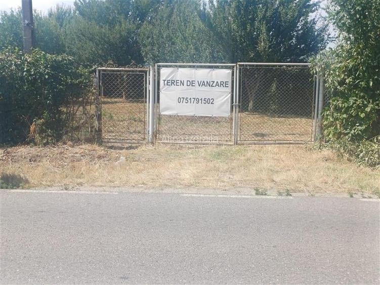 Gradina de vanzare intre Cristian si Orlat